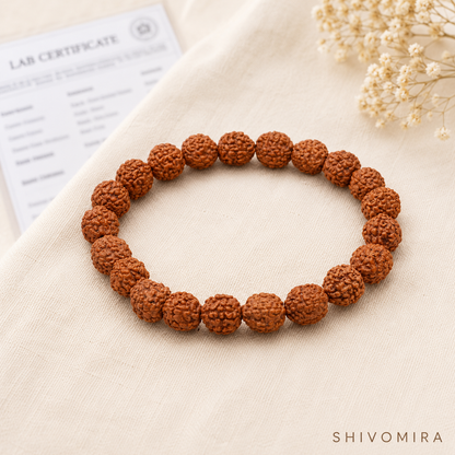 Rudraksha Bracelet 8MM Lab Certified premium original beads on high stretch elastic by Shivomira